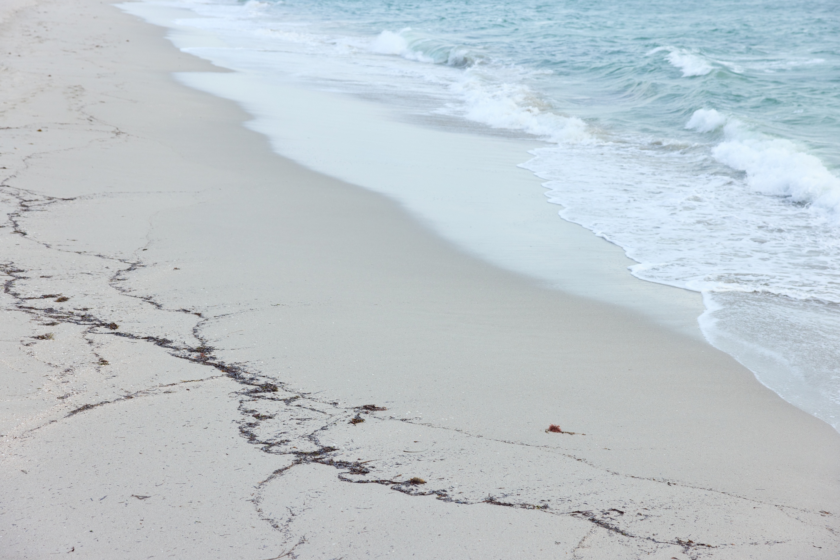 Ocean